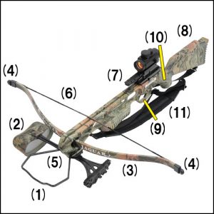 この部分は何て呼ぶの？（リカーブクロスボウ編）