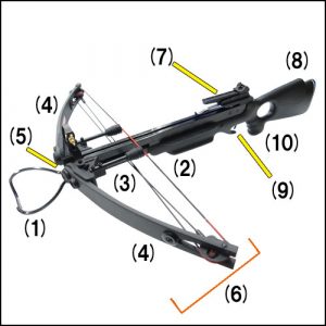 この部分は何て呼ぶの？（コンパウンドクロスボウ編）